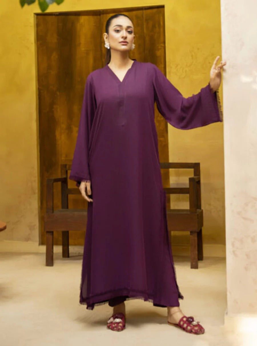Pakistani-Style Georgette Co-Ord Set with Fringed Detailing